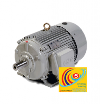 มอเตอร์ประสิทธิภาพสูง (High Efficiency Motor)