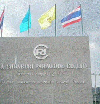 มอเตอร์ประสิทธิภาพสูง CMG @ PJ Parawood